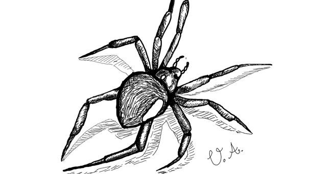 Drawing of Spider by UmbrellaAcademy