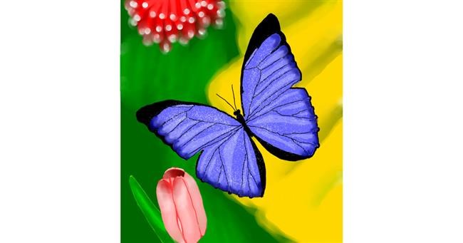 Leptir - autor: Joze