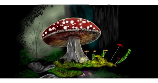 Pilz-Zeichnung von Chaching
