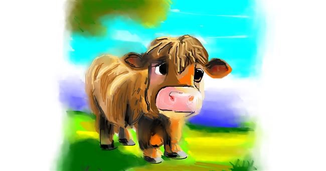 Drawing of Cow by Herbert