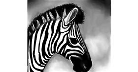 Zebra - autor: Emit