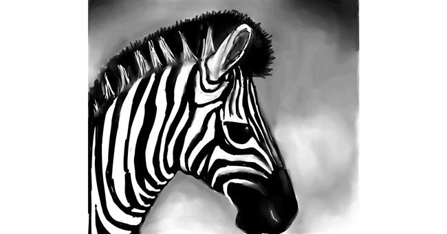 Zebra - autor: Emit