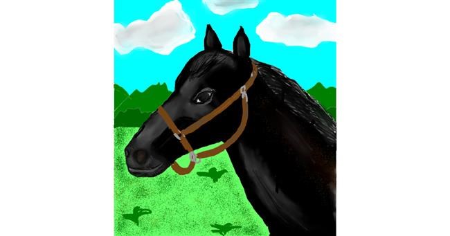 Drawing of Horse by Gul