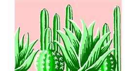 Drawing of Cactus by Kiu