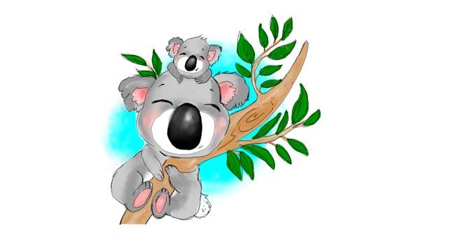 Koala-Zeichnung von Robin