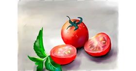 Drawing of Tomato by Rose rocket