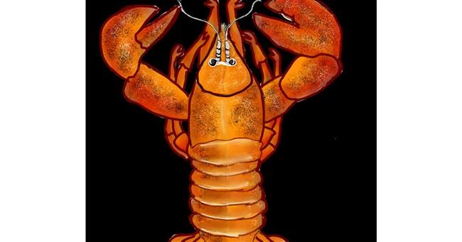 Drawing of Lobster by Snowy