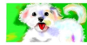 Drawing of Dog by DebbyLee