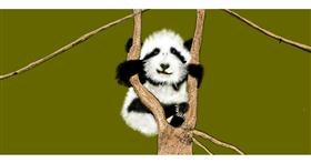 Panda - autor: Chaching