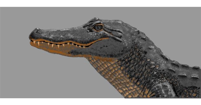 Aligator - autor: Kaddy