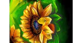 Drawing of Sunflower by Swastikaa 