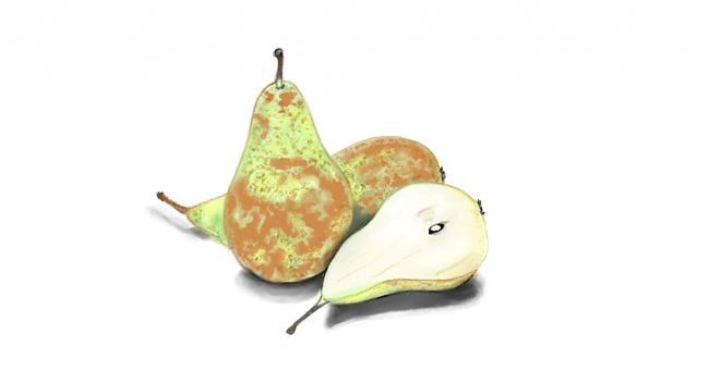 Drawing of Pear by Chaching