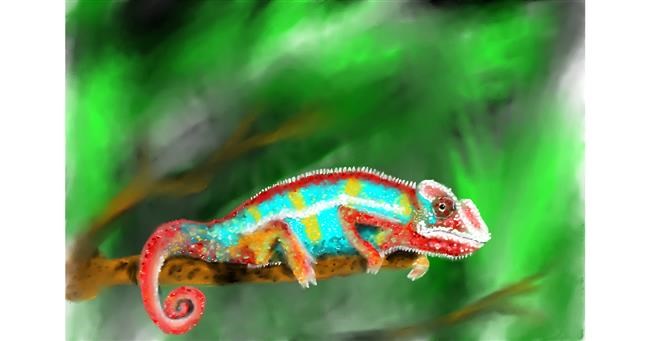 Drawing of Lizard by Wizard