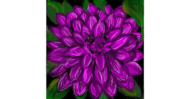 Drawing of Flower by KayXXXlee