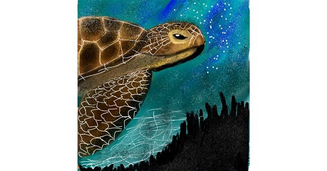 Drawing of Sea turtle by Yasmeen