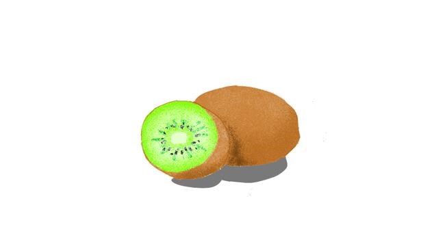 Kiwi-Zeichnung von Selo