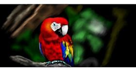 Papiga - autor: Chaching