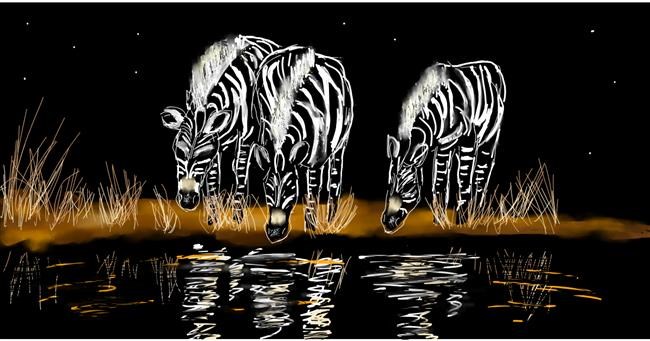 Zebra - autor: Eclat de Lune