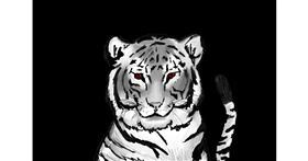 Tigar - autor: Monty