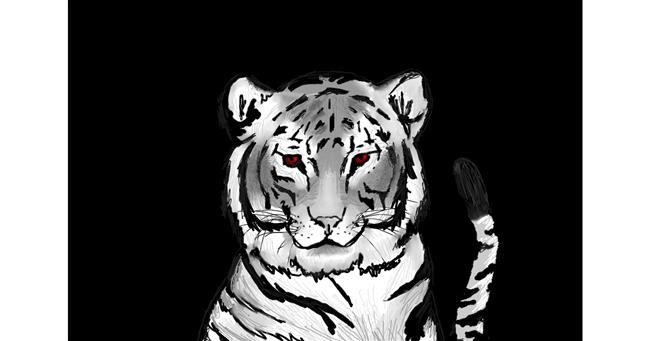 Tigar - autor: Monty