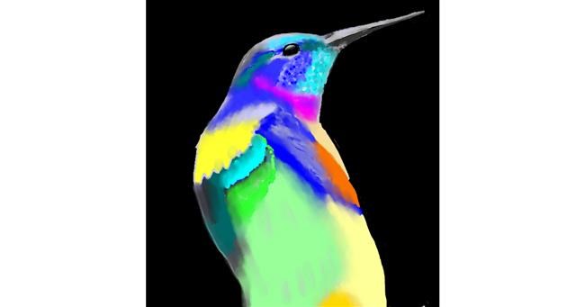 Drawing of Hummingbird by Not.Old.Train
