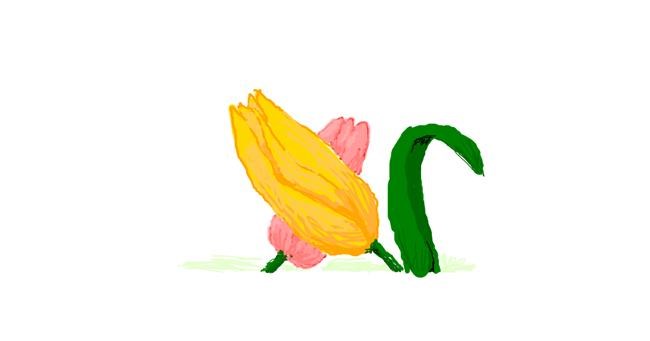 Tulpen-Zeichnung von 7y3e1l1l0o§