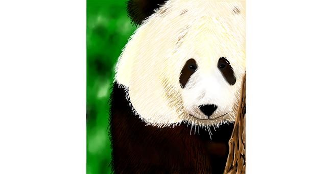 Drawing of Panda by Joze