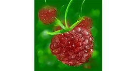 Drawing of Raspberry by Eclat de Lune