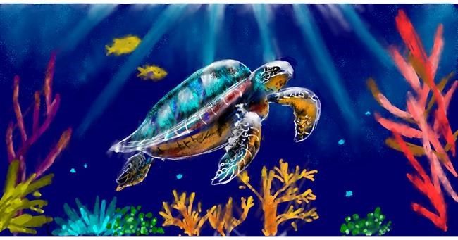 Drawing of Sea turtle by Eclat de Lune