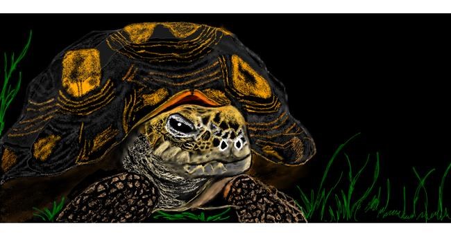 Schildkröte-Zeichnung von Chaching