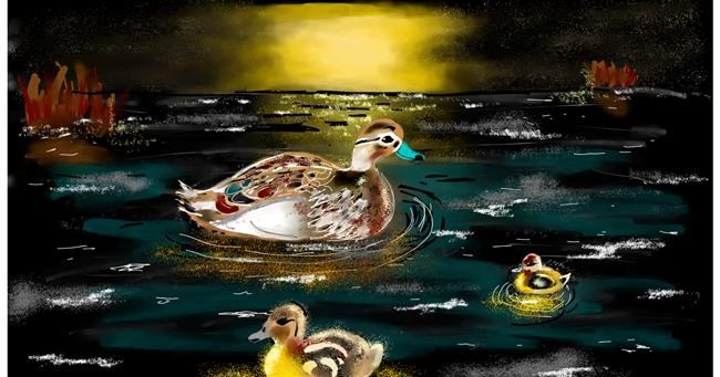 Drawing of Duck by Eclat de Lune