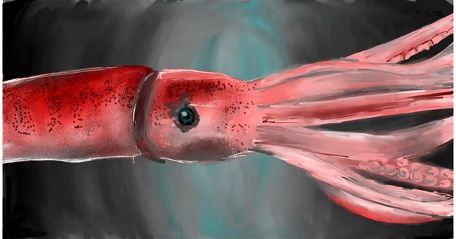 Drawing of Squid by Mia