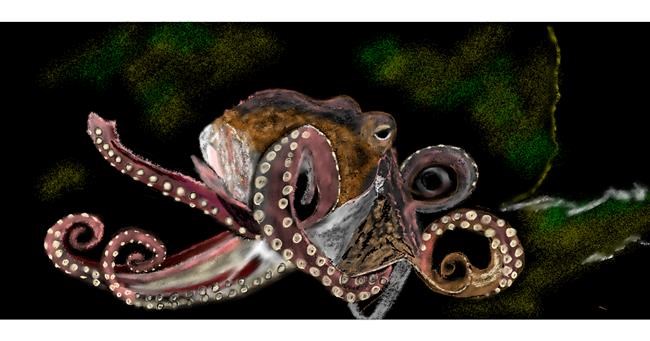 Drawing of Octopus by Chaching