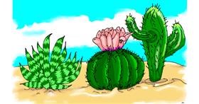 Kaktus - autor: flowerpot