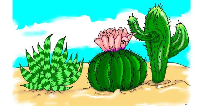 Kaktus - autor: flowerpot