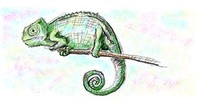 Drawing of Chameleon by Kitine