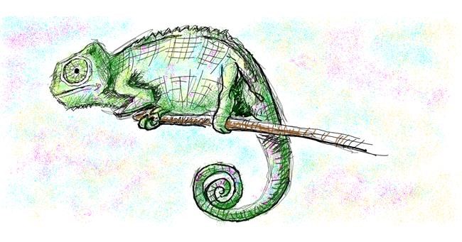 Kameleon - autor: Kitine