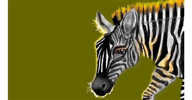 Zebra - autor: SAM AKA MARGARET 🙄