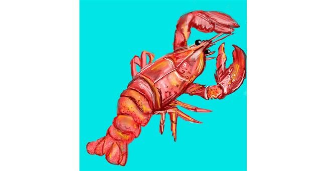 Drawing of Lobster by KayXXXlee