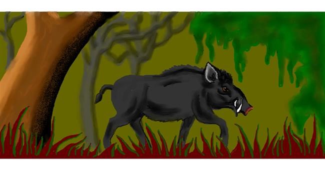 Drawing of Wild boar by DebbyLee