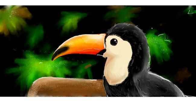 Drawing of Toucan by 隱形天使女孩 🩸