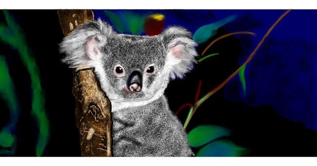 Drawing of Koala by Chaching