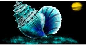 Drawing of Seashell by Eclat de Lune