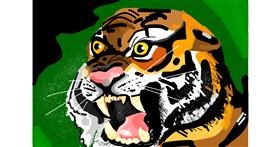 Drawing of Tiger by Rain