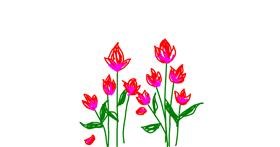 Drawing of Tulips by Sepha