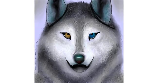 Drawing of Wolf by 🇭🇰 Acemca Lam