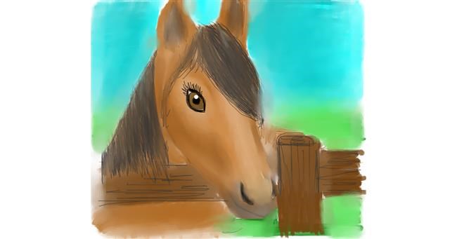 Drawing of Horse by Bree