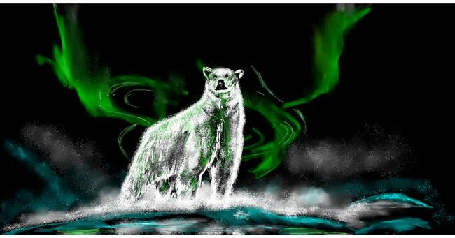 Polarni medvjed - autor: Eclat de Lune