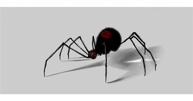 Drawing of Spider by Chaching