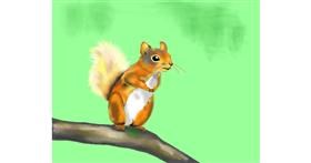 Drawing of Squirrel by Cec